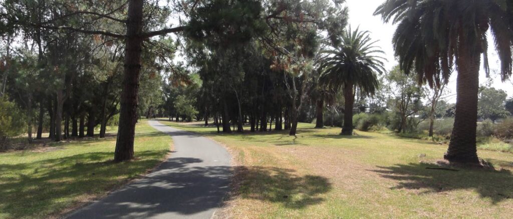 belmont common