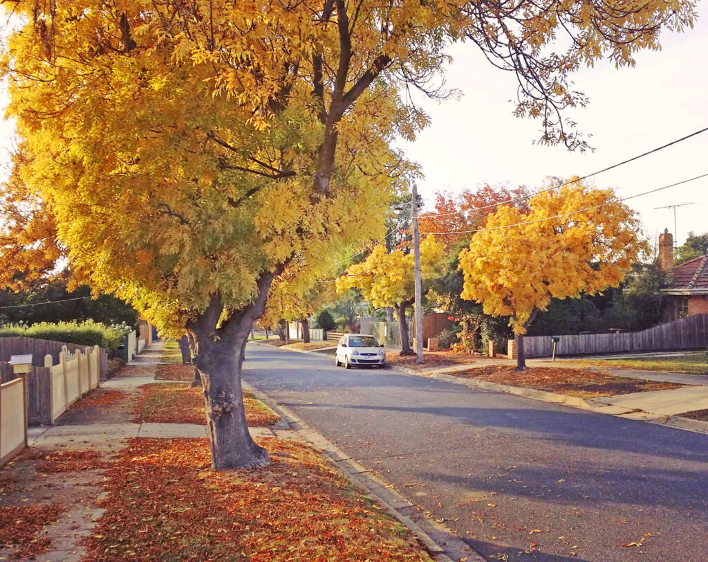 hamlyn heights painting 1