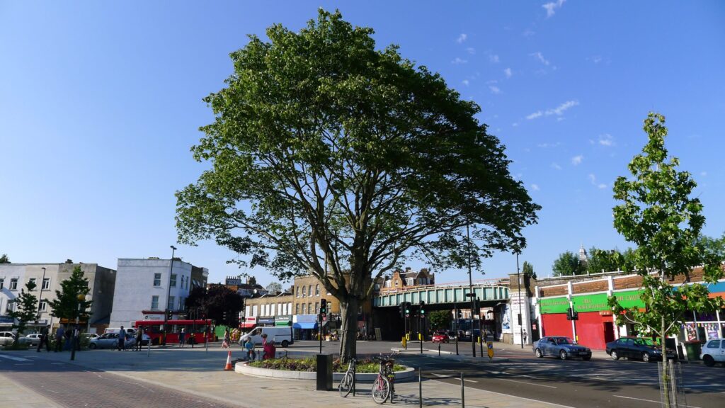 herne hill painting 05